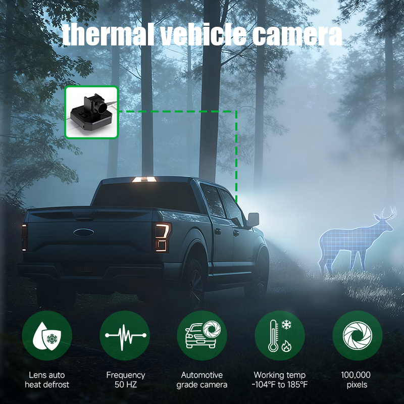 Thermal image showing a pedestrian and animal as heat signatures at night