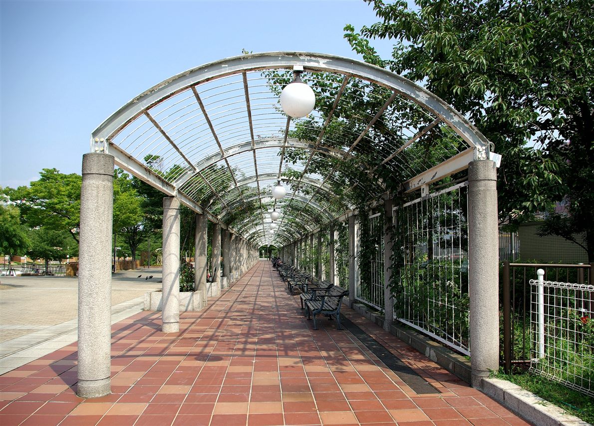 Park pergola walkway in one-point perspective, paving grid and equally spaced columns converging toward a vanishing point